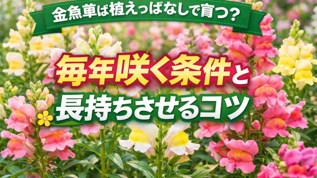 金魚草が咲く花壇と「植えっぱなしで育つ？毎年咲く条件と長持ちのコツ」と書かれたアイキャッチ画像