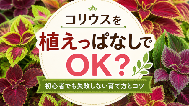 コリウスのカラフルな葉を背景に「植えっぱなしでOK？」と書かれた画像